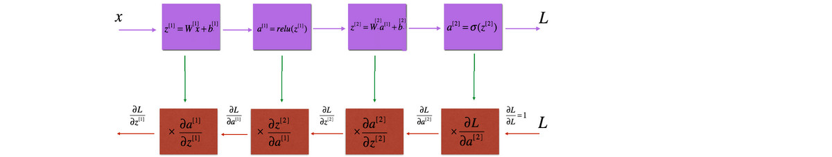 derivative back-prop